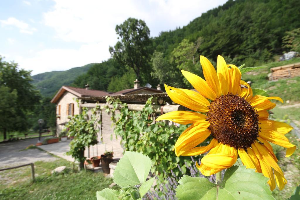 Agriturismo Ca Sonino Bettola  Exterior photo